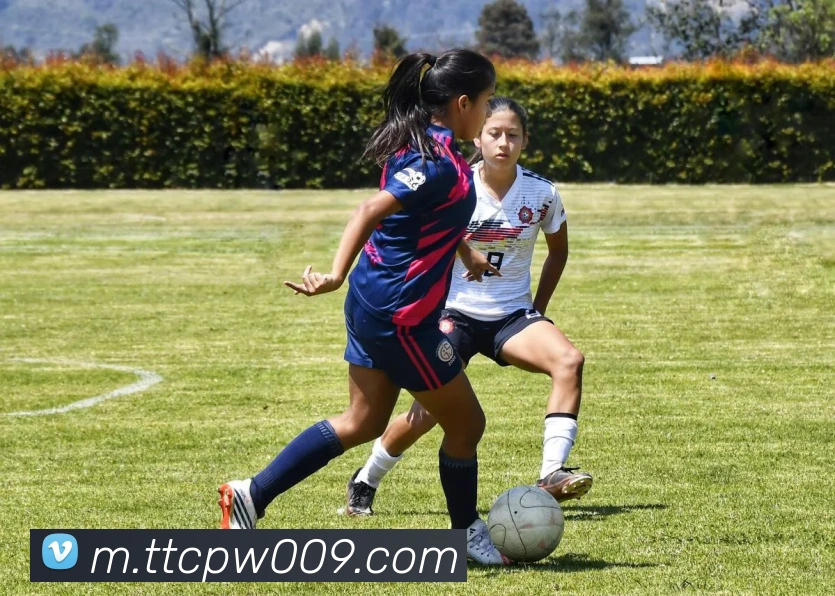 天天彩票官方网站APP 封面图